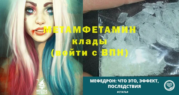 спиды Богданович