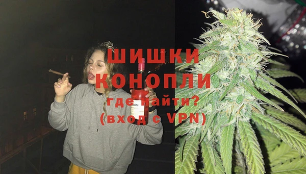 спиды Богданович