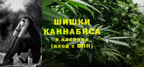 бошки Богородицк